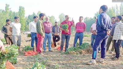 Jammu and Kashmir: Director Agriculture visits OVC Maloora