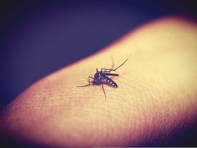 Pakistan witnessing spike in Dengue cases