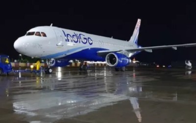 IndiGo stands by its decision on denying boarding to special-need child