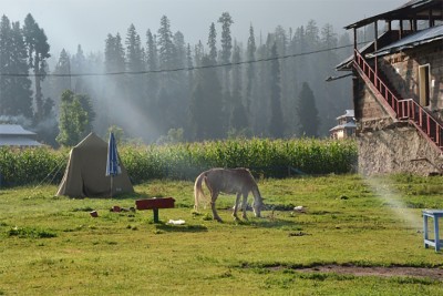 Jammu and Kashmir: Govt taking steps to encourage youth to take up agriculture as career