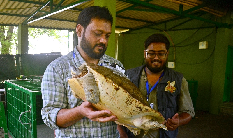 West Bengal's Sundarban celebrates World Turtle Day