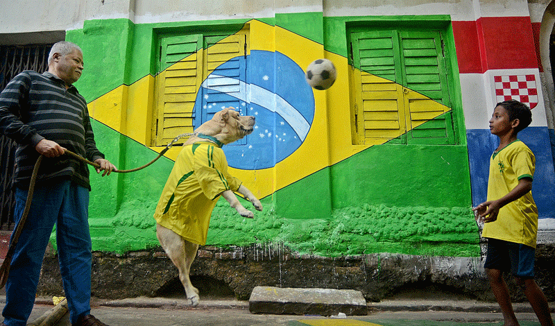 Kolkata roots for Brazil as FIFA World Cup fever grips the city