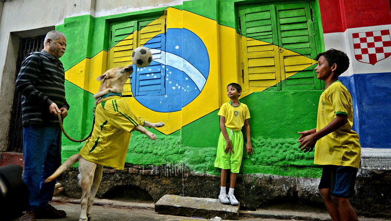 Kolkata roots for Brazil as FIFA World Cup fever grips the city