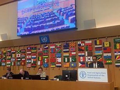 India elected as Vice-Chair at the 12th session of FAO’s Intergovernmental Technical Working Group on AnGR