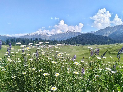 Jammu and Kashmir's Gulmarg all set to host G-20 delegates in May 2023 amidst major makeover