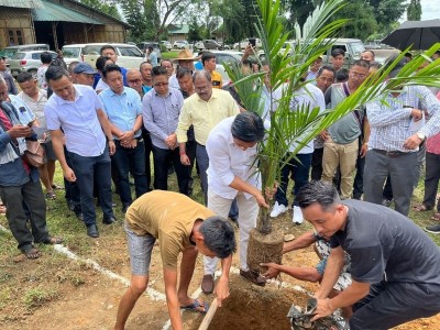 Godrej and Patanjali collaborate to boost oil palm plantation in Nagaland foothill regions