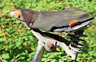 Uttar Pradesh: Minor girl killed by youth in Maharajganj for allegedly touching cycle seat