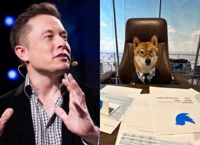 Elon Musk posts pic of his dog as Twitter CEO, sets canine crypto soaring