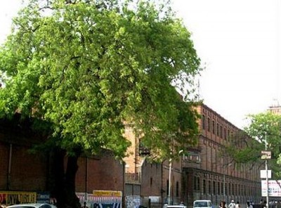 Govt to start disbursement of pending salaries and retirement benefits to British India Corporation employees from tomorrow