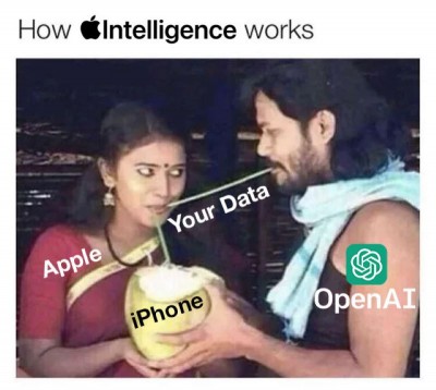 Tech billionaire Elon Musk's new meme on 'Apple-Open AI' deal has an Indian movie connection