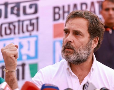 Assam CM directs police to file case against Rahul Gandhi for 'provoking crowds'