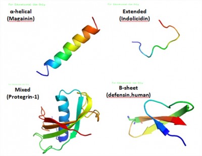 Palmitoyl Tetrapeptide-7: Hypothesized Mechanisms and Potential Implications