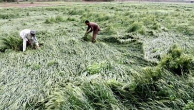 Patiala farmer sets new standard in sustainable agriculture