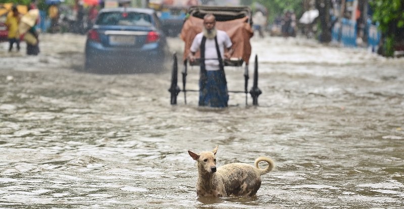 Heavy rains disrupt normal life in Kolkata