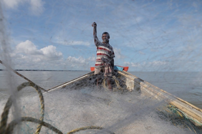 In Images: On the trail of hilsa in the Bay of Bengal before the prized catch transforms into a Bengali delicacy