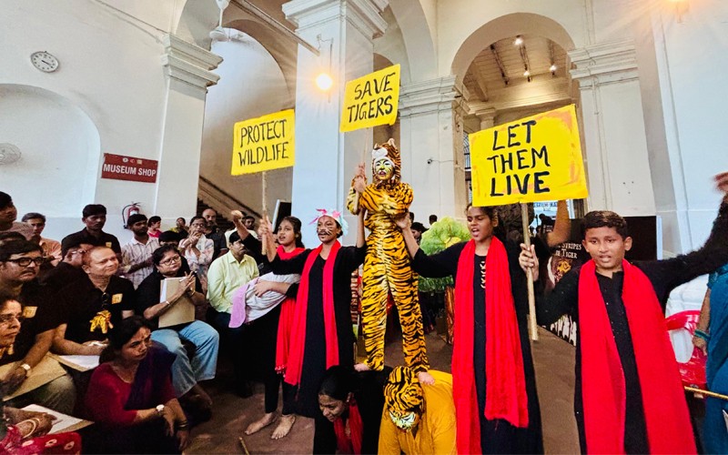 In Images: Indian Museum marks International Tiger Day with powerful street play
