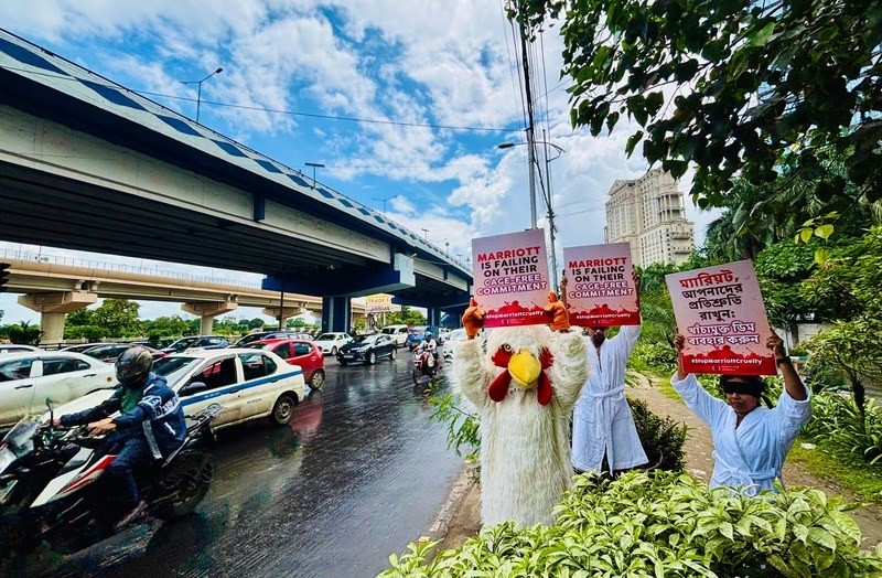 In Images: Activists in bathrobes and a hen protest Marriott’s broken cage-free egg pledge in Kolkata