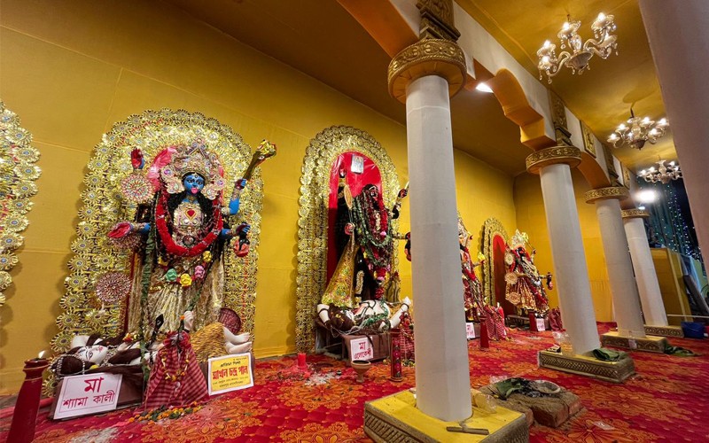 In Images: Pancha Kali worshipped in a pandal in Jadavpur, Kolkata