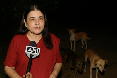 Angry judgments are never sensible: Maneka Gandhi reacts to SC order on stray dogs