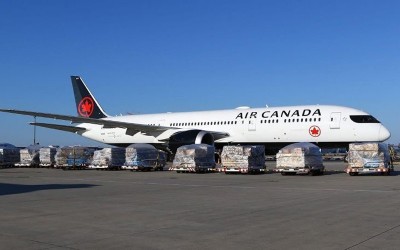 Air Canada flights remain grounded as striking union defies order to resume work