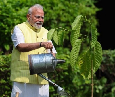 Modi plants Kadamb sapling presented by King Charles III on his birthday