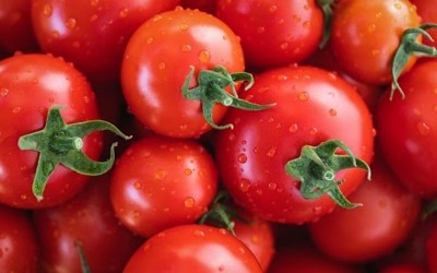 Pakistan-Afghanistan border closures trigger sharp rise in food prices like tomatoes, trade losses mount