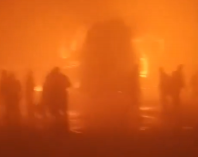 Horror on Yamuna Expressway: 8 buses, 3 cars pile up in dense fog, 4 dead, 25 injured