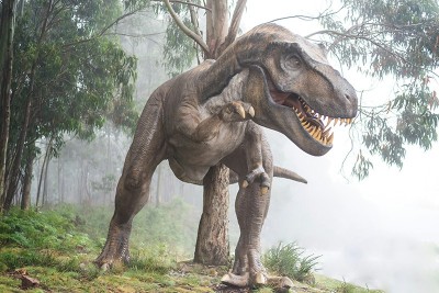 T. rex grew for 40 years—much longer than scientists ever thought!