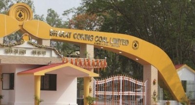 BCCL skyrockets, then crashes 7%! IPO dream turns into investor nightmare