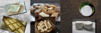 From Kalari to Chhurpi: PM Modi reveals how Indian cheese is taking over global plates