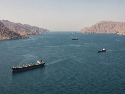 Most India-bound ships 'go dark' in Strait of Hormuz amid fears of Iranian attacks