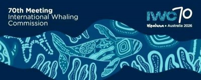 Global whale conservation in focus as India makes key pitch at IWC-70. All details here