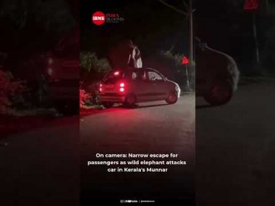 On camera: Narrow escape for passengers as wild elephant attacks car in Kerala's Munnar